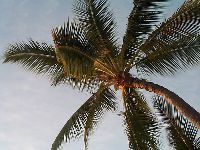 Работа нов калининград ру ярмарка